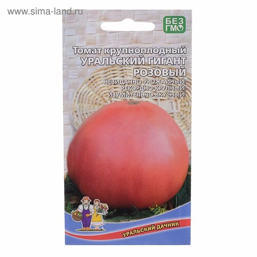 ���� ������ ����� ��������� ������ ������� 20�� ����� (��������� ������)