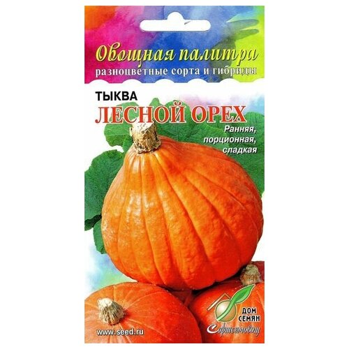 ���� ����� ������ ����, 7 �����