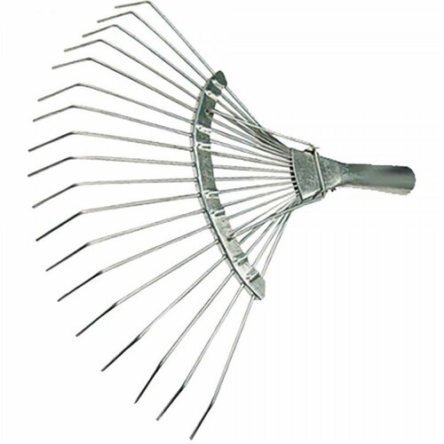 ���� ������ ������� 20-��� ��� �������