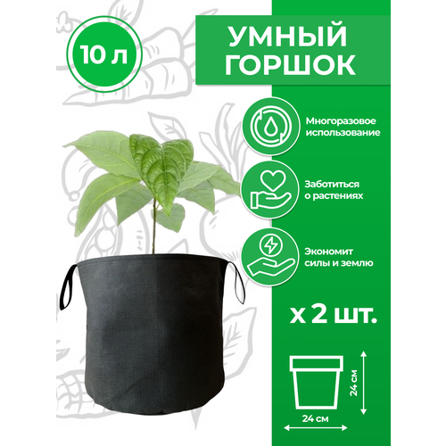     ( )     Magic Plant 10  2   -     , -,   