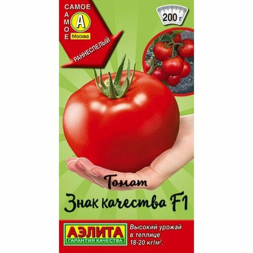 ���� ������ ����� ���� �������� F1, ������������, �����������, (������) 20�� ����� �����