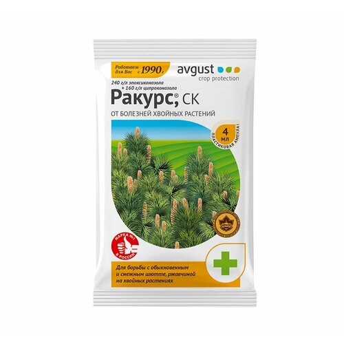 ���� ������ 4�� ( �� �������� � ����� �� ������� ) 5/200 ��