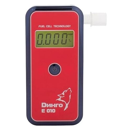 ���� ���������� ����� E-010 (���������� ������������)