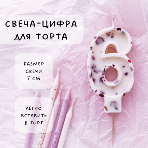 ���� ����� ��� ����� ����� 6, ������ ������, 1��