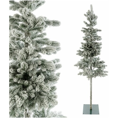 ���� ��� ����������� �������� ���� ����, 250 ��