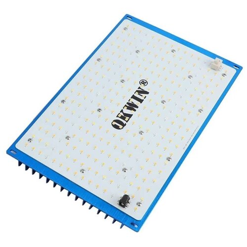     - ; Qwin quantum board ( ), 120  Mean Well,  Samsung LM-301B, 288 .      -     , -,   