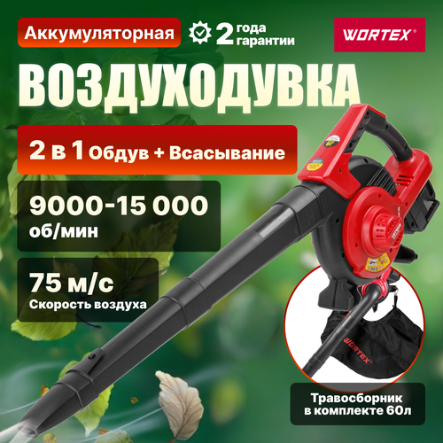     WORTEX BB 2536-1 D ALL1 SOLO (1333417)  -     , -  