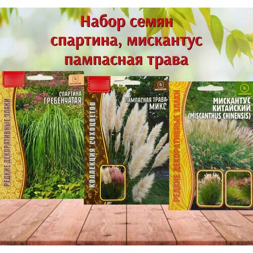 ���� ������ ����������� �������� ��� ���� ��������� ��������� ����� � �������� ����� 3 ��.