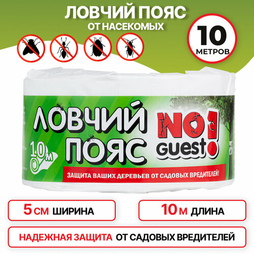        NoGuest,  , 10   -     , -  