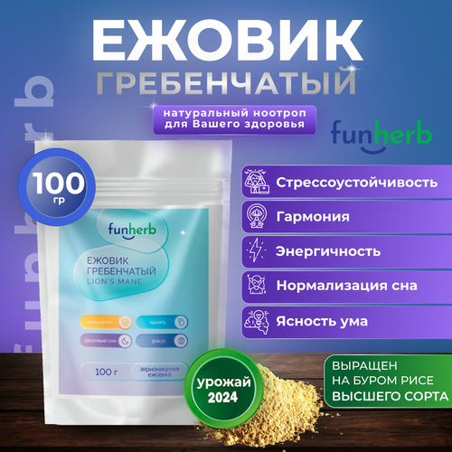 ���� ������ ����������� ������� �������