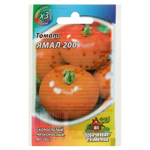 ���� ������ ����� 