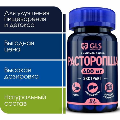 ���� ���������� �������� �����, �������� / ��� ��� ������ ������, ��������� �����������, �������, 400 ��, 60 ������