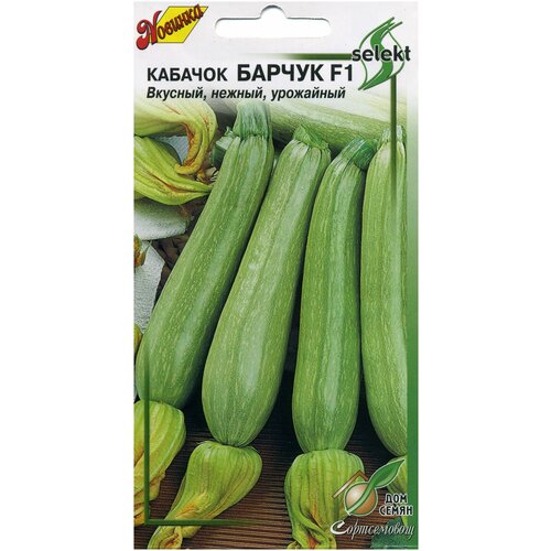 ���� ������� ������ F1, 12 �����