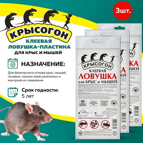 ���� �������� �������� ������� �������-�������� ��� ����� � ����, 3 ��