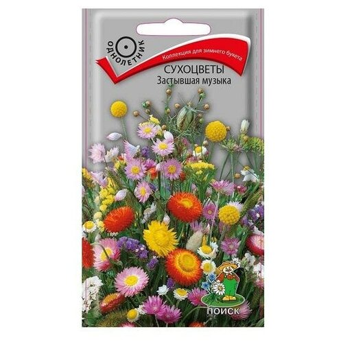 ���� ��������� ��������� ������