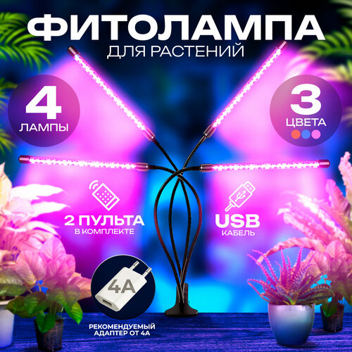       (4  10W),        (    USB)  -     , -  