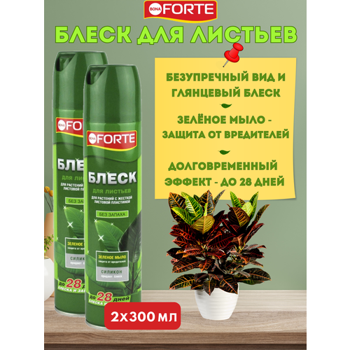 ���� ����� ��� ������� Bona Forte ��� ��������� � ��������� ������, � ������� �����, 2�300��