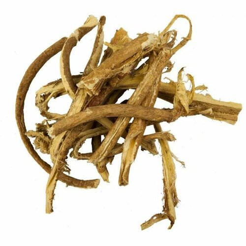 ���� �������� ������������, ������, �����, ���������, 25 �