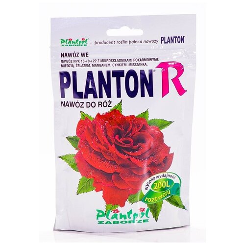    PLANTON 