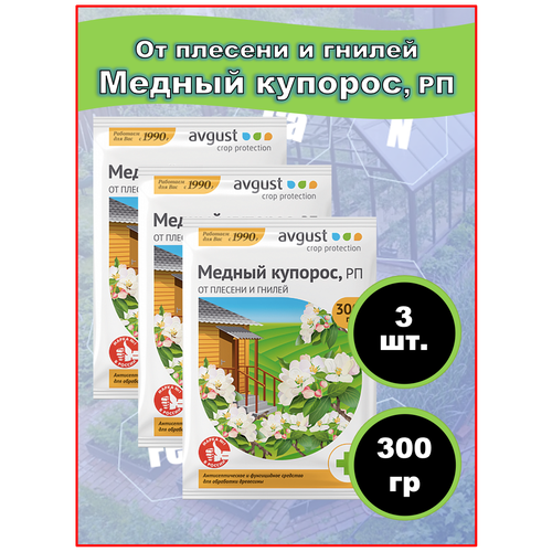 ���� ������ ������� (������� ����) 