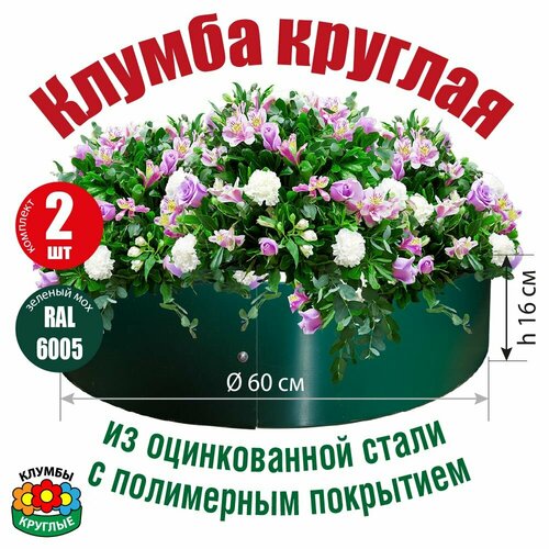 ���� ������ ������� ������� �� ������������ ����� � ���������� ���������