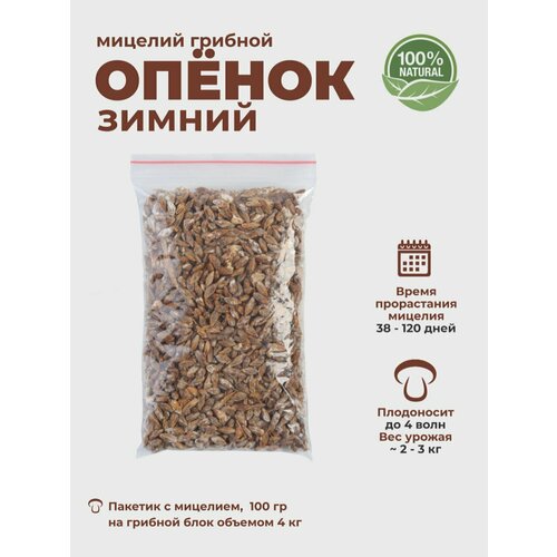 ���� ������ ������ ������ ������, ������� ��� �����������, �������� ��������