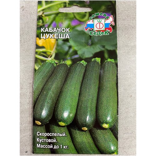 ���� ������� ������