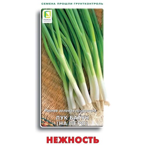 ���� ������ ��� ����� �������� 1��.