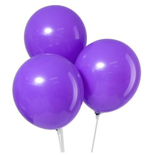 ���� ����� ��������� ����� Leti �������, 12