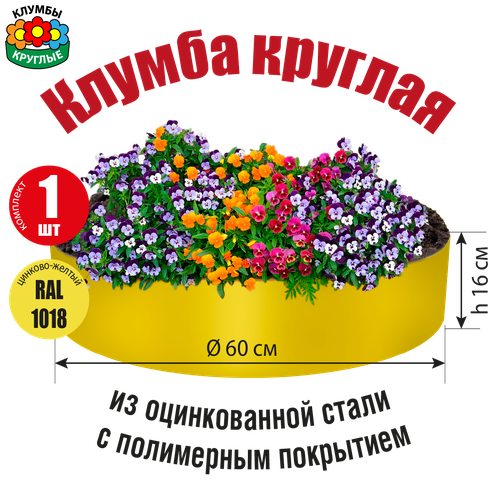 ���� ������ ������� ������� �� ������������ ����� � ���������� ���������