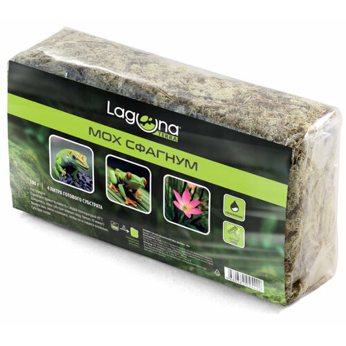 ���� �������� Laguna ��� �������, 100 �