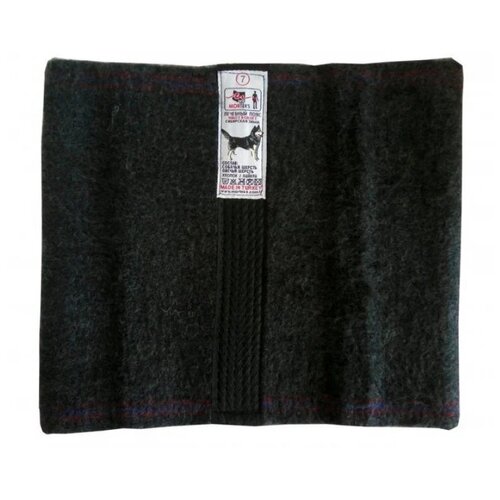 ���� Morteks ���� �� �������� ������ 7, ������