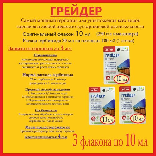 ���� ����� ������ �������� ������� - 3 �������� �� 10 �� (�������� 250 �/�) �� �������� � ���������