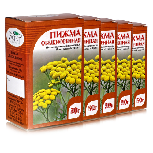 ���� ����� ������������, ������ 50��, 5 ��