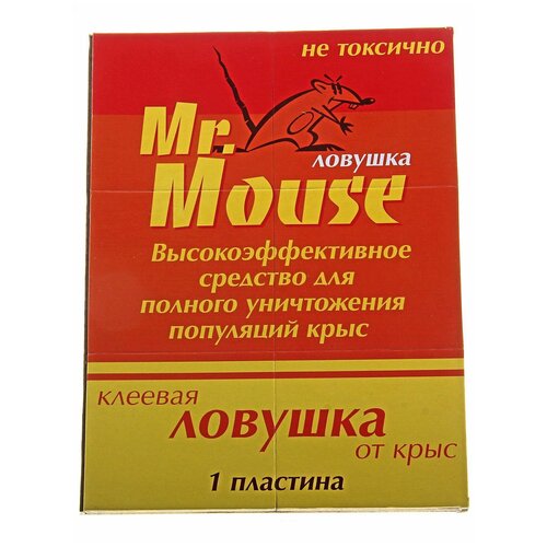       Mr.Mouse,  , 1  -     , -,   