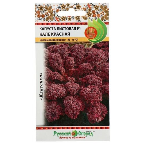 ���� ������ ������� �������� ���� ������� F1 50�� ������� (������� ������)