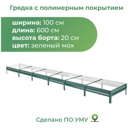 ���� ������ ������������ � ���������� ��������� 1,0�6,0 �, ������ 20 ��, ����: ������� ���