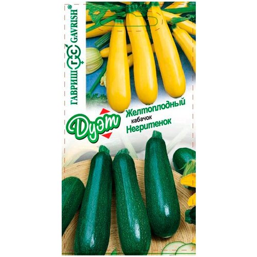 ���� ������. ������� 