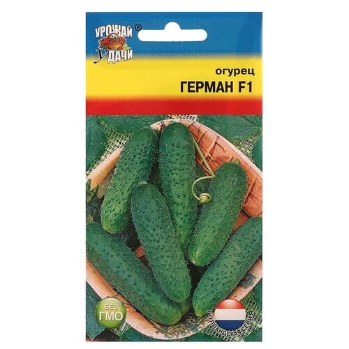 ���� ������ ������ 