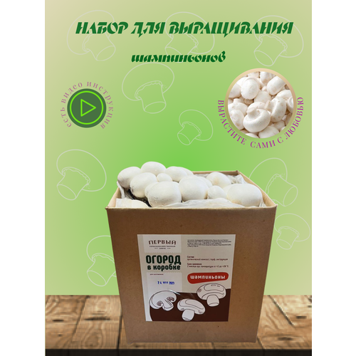 ���� ����� ��� ����������� �����������