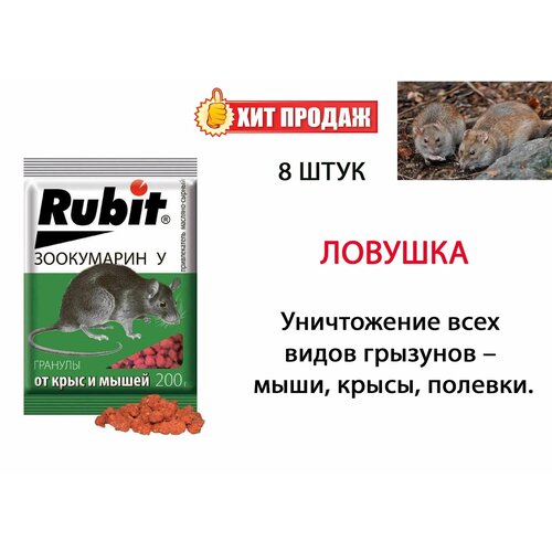      Rubit + ,  200 , 8   -     , -,   