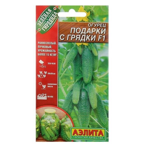 ���� ������ ������ 