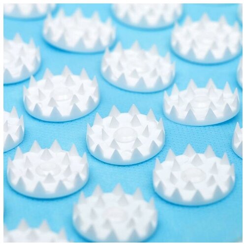 ���� ���������� ��������� ����� 144 �������, ��������, �������, 260*560 ��