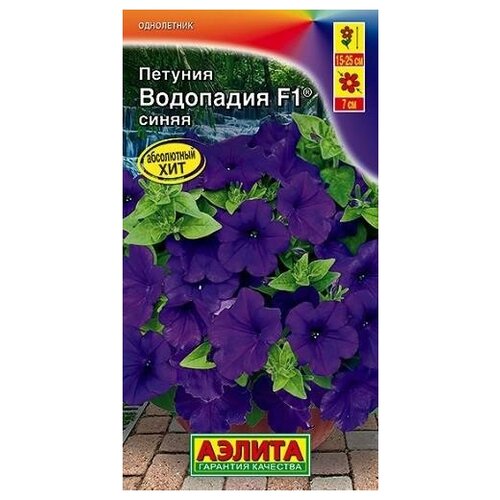 ���� ������. ������� 