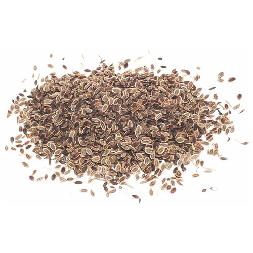 ���� ������ ������ ������� 1 ��