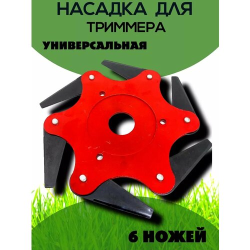 ���� ���� (���, �������) ��� �������� � 6 ������ �������������