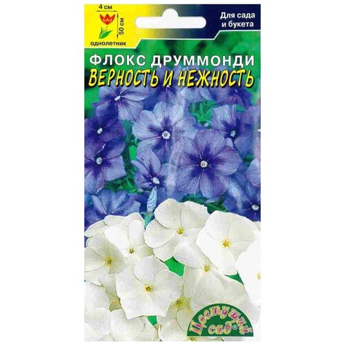 ���� ������ �������� ��� 