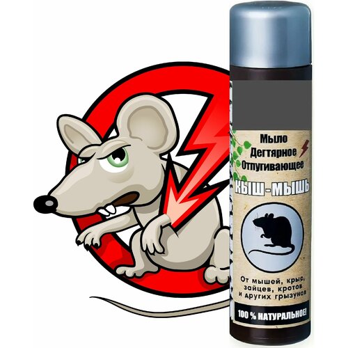 ���� ����������� ��������� 