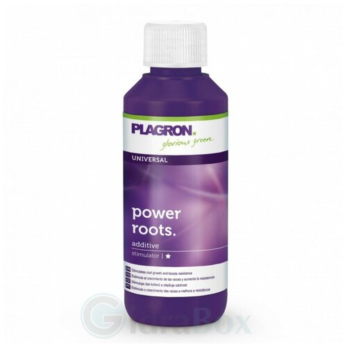     Plagron Power Roots 100     -     , -  