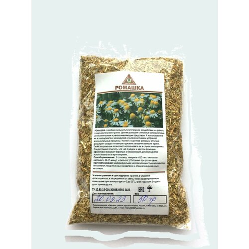 ���� ������� 100��. ������ ����������